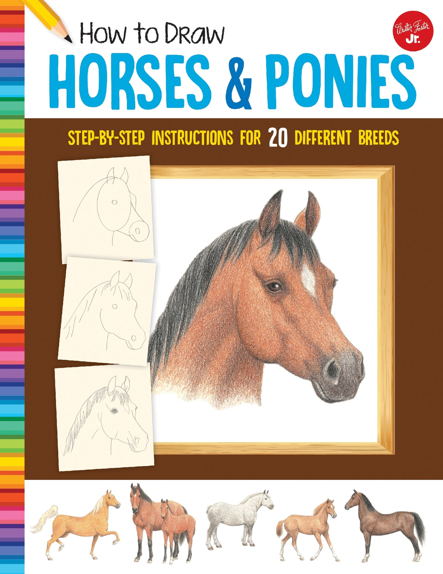 How to Draw Horses and Ponies
