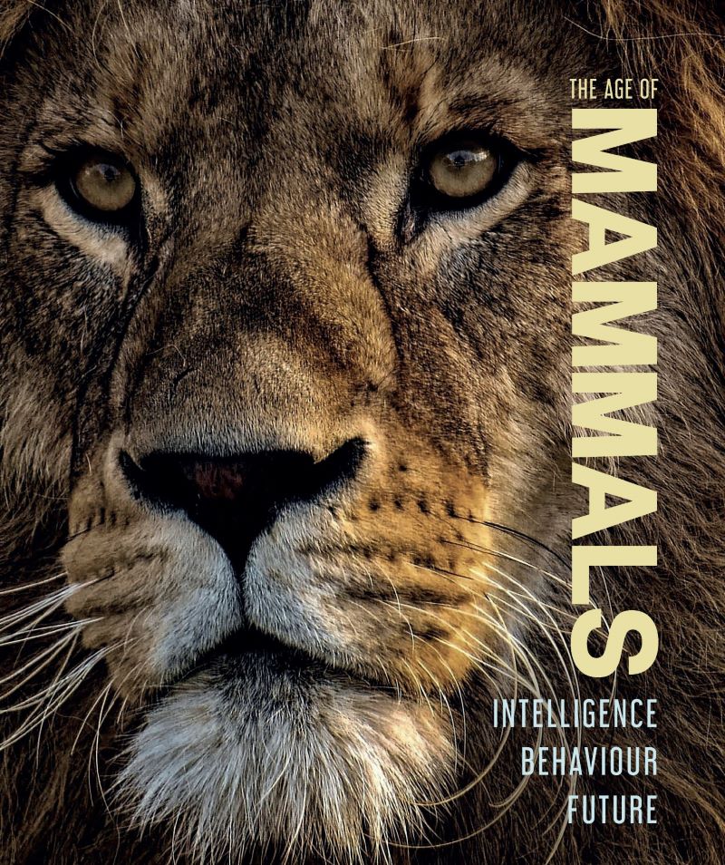 Age of Mammals: Intelligence, Behaviour, Future